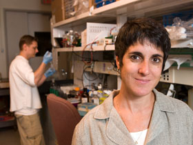 Sandra Hewett, associate professor of neuroscience, at her lab at the UConn Health Center.