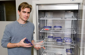 Brenton Graveley, associate professor of genetics and developmental biology, holds a sample of planarians at his lab.