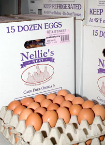 Cage-free eggs are now being offered in the Whitney Dining Hall.