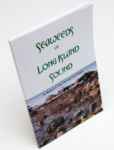 Book Cover: Seaweeds of Long Island Sound