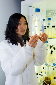 Ph.D. student Yubo Hou conducts research in her lab at Avery Point.