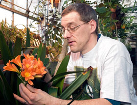 Clinton Morse, plant growth facilities manager, examines a Clivia miniata, a plant from South Africa, in the ecology and evolutionary biology greenhouse.