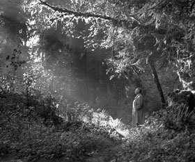 Naturalist Edwin Way Teale is shown in a wooded setting in this photo from the Teale collection.
