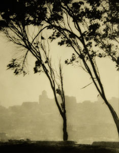 William Dassonville’s “San Francisco from Telegraph Hill,” a gelatin silver print from the 1920s, has been added to the Benton’s collection