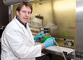 Professor Theodore Rasmussen examines a cell culture in his lab.