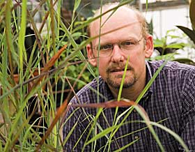 Mark Brand, professor of plant science, with a new breed of ornamental grass he developed, known as Ruby Ribbons.