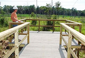 A worker looks over the new preserve from a boardwalk that allows the study of wetland areas.