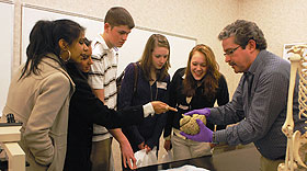 High school students listen as Tom Casso, preclinical education specialist, talks about the brain and spinal cord during Clinical Career Day at the Health Center.