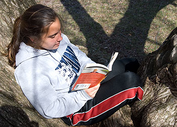 Allison Campitiello, a sophomore with a double major in English and journalism, sits in a tree by Mirror Lake.