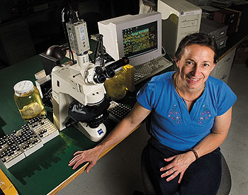 Janine Caira, Board of Trustees Distinguished Professor of Ecology and Evolutionary Biology, in her lab at the Torrey Life Sciences Building.