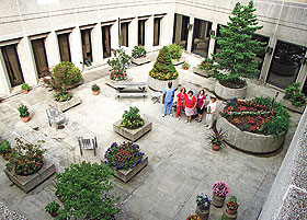 Master gardener Marjorie Bingham, far right, reviews a courtyard garden with staff at the Health Center.