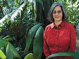 Robin Chazdon, professor of ecology and evolutionary biology, at the biology greenhouse on the Storrs campus