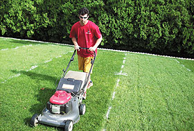 Kyle Carney, a student in the turfgrass program, created a mini NFL field on his parents’ lawn as part of a scholarship application. 