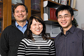 Joseph Loturco, left, professor of physiology and neurobiology, with graduate students Yoon Jeung Chang, center, and Yu Wang.