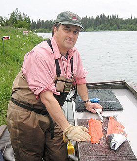 Cameron Faustman, professor of animal science, fillets a salmon in Alaska.