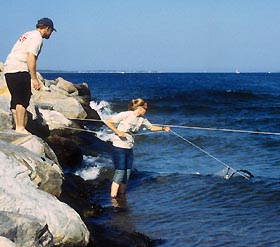 Image: Netting plankton at Ocean Beach Parking during the BioBlitz on June 6-7.