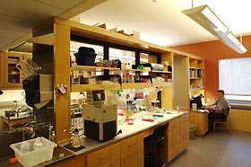 Image: Laboratory in the new Biology/Physics Building.