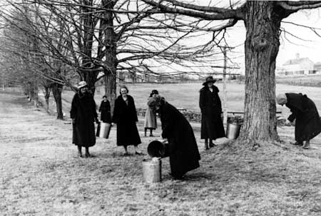 Maple Sugaring in 1918