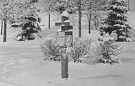 Photograph detail of signpost